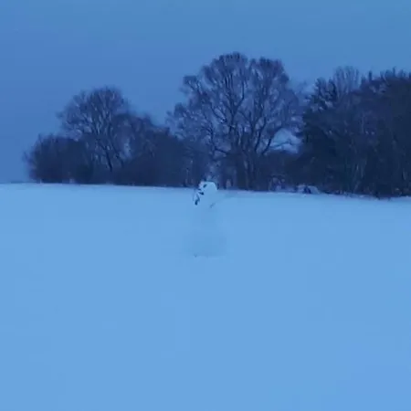 Ferienwohnungen! Kleine Mit Terrasse!