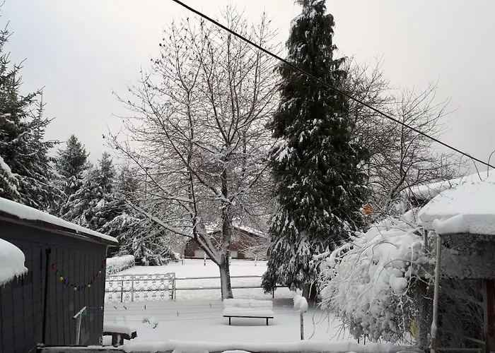 Ferienwohnungen! Kleine Mit Terrasse! *
