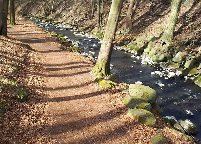 Ferienwohnungen! Kleine Mit Terrasse! דירה