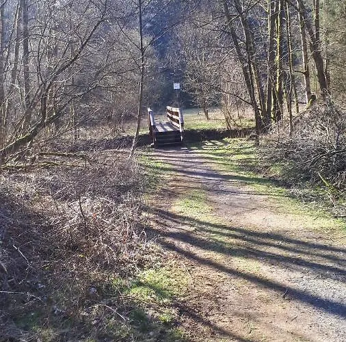 Ferienwohnungen! Kleine Mit Terrasse! * Stockhausen-Illfurth