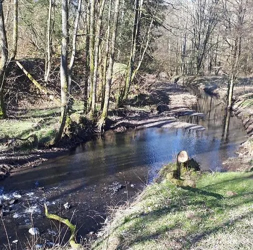 Ferienwohnungen! Kleine Mit Terrasse! דירה Stockhausen-Illfurth
